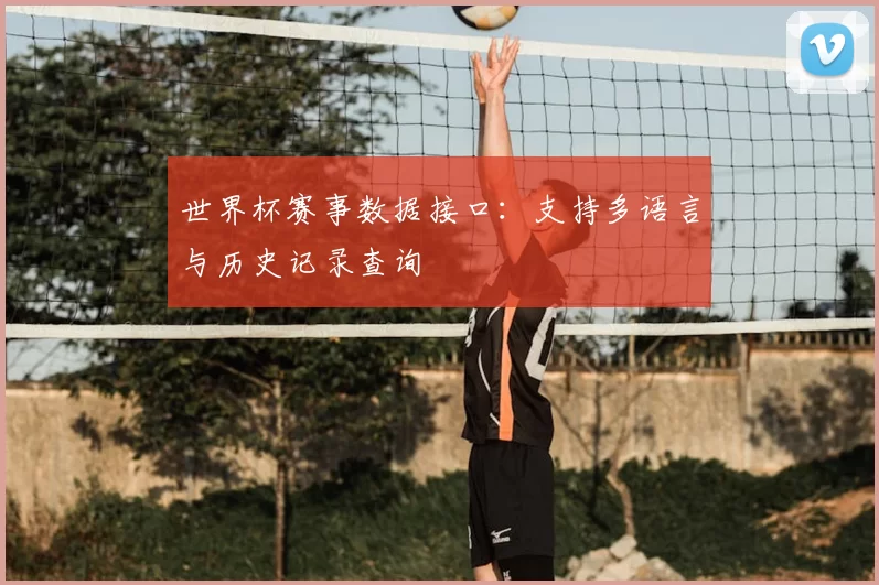 世界杯赛事数据接口:支持多语言与历史记录查询