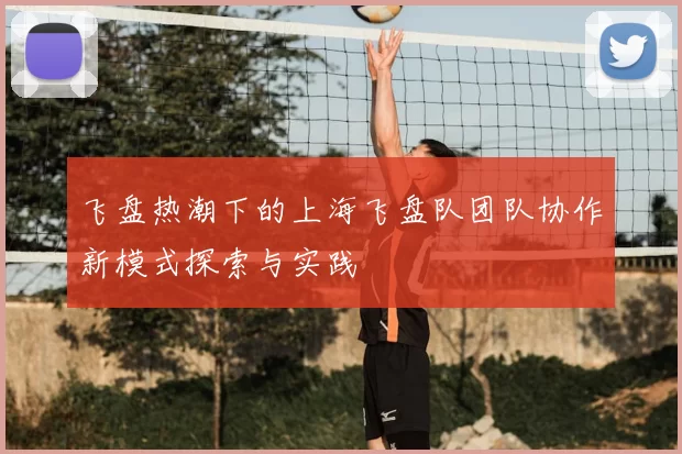 飞盘热潮下的上海飞盘队团队协作新模式探索与实践