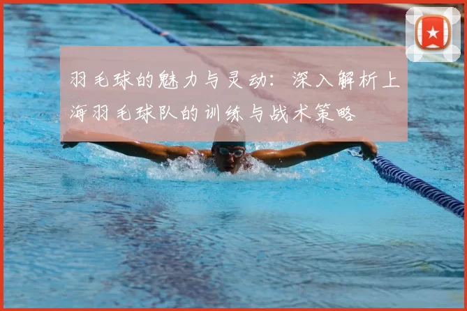 羽毛球的魅力与灵动：深入解析上海羽毛球队的训练与战术策略