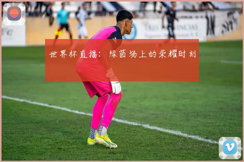 世界杯直播:绿茵场上的荣耀时刻