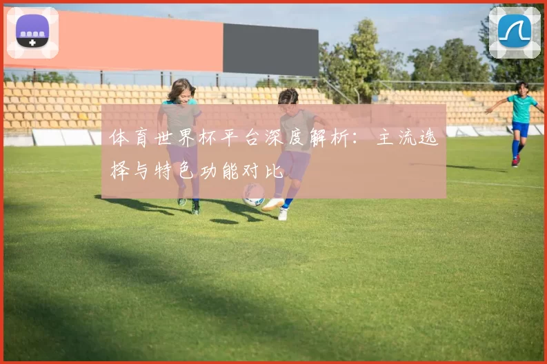 体育世界杯平台深度解析:主流选择与特色功能对比