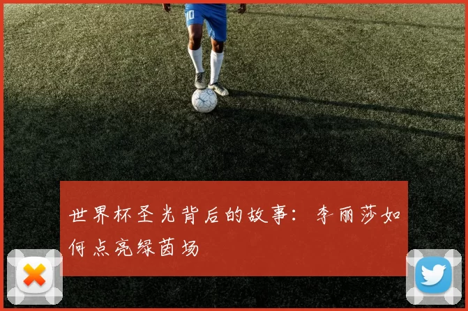 世界杯圣光背后的故事:李丽莎如何点亮绿茵场