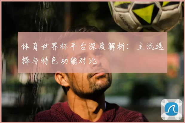 体育世界杯平台深度解析:主流选择与特色功能对比