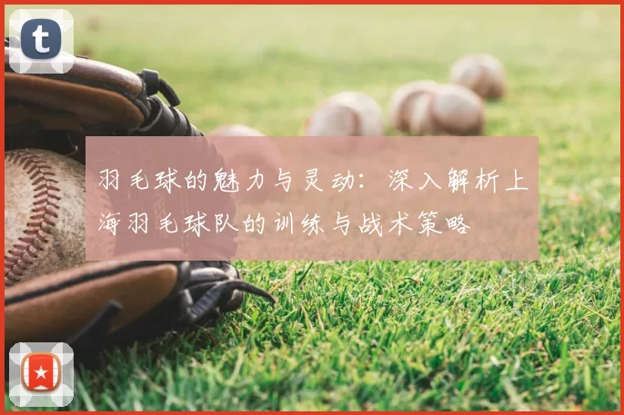 羽毛球的魅力与灵动：深入解析上海羽毛球队的训练与战术策略