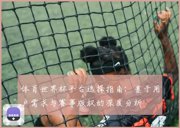 体育世界杯平台选择指南:基于用户需求与赛事版权的深度分析