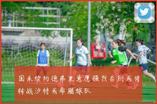 国米续约德弗里意愿强烈否则或将转战沙特或希腊球队