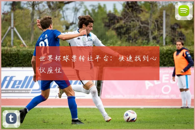 世界杯球票转让平台：快速找到心仪座位
