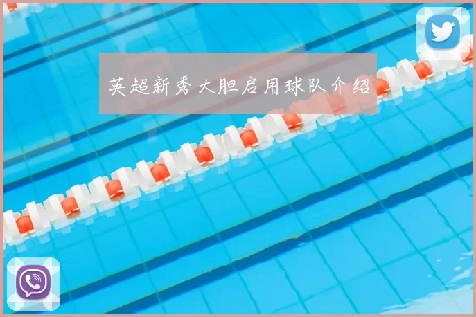 英超新秀大胆启用球队介绍