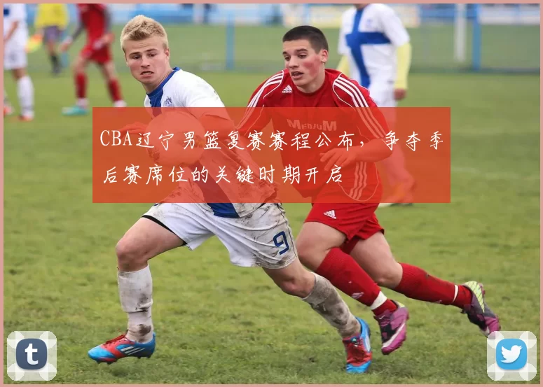 CBA辽宁男篮复赛赛程公布,争夺季后赛席位的关键时期开启