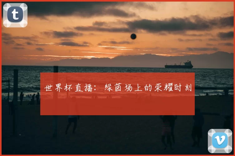 世界杯直播:绿茵场上的荣耀时刻