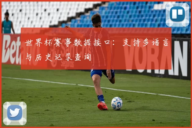 世界杯赛事数据接口：支持多语言与历史记录查询