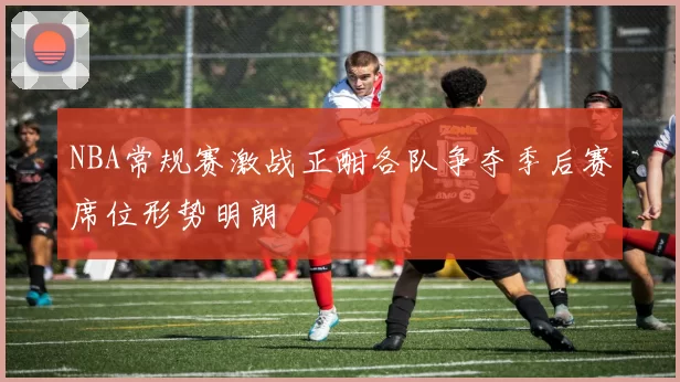 NBA常规赛激战正酣各队争夺季后赛席位形势明朗