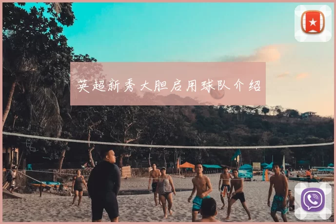 英超新秀大胆启用球队介绍